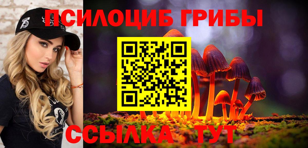 Галлюциногенные грибы мицелий Михайловск