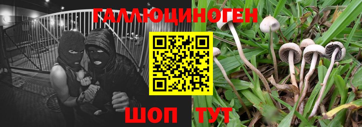 Михайловск  Галлюциногенные грибы мицелий  продажа наркотиков  Вход с VPN 